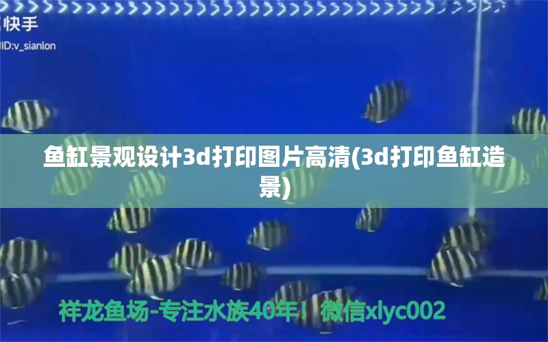 鱼缸景观设计3d打印图片高清(3d打印鱼缸造景)