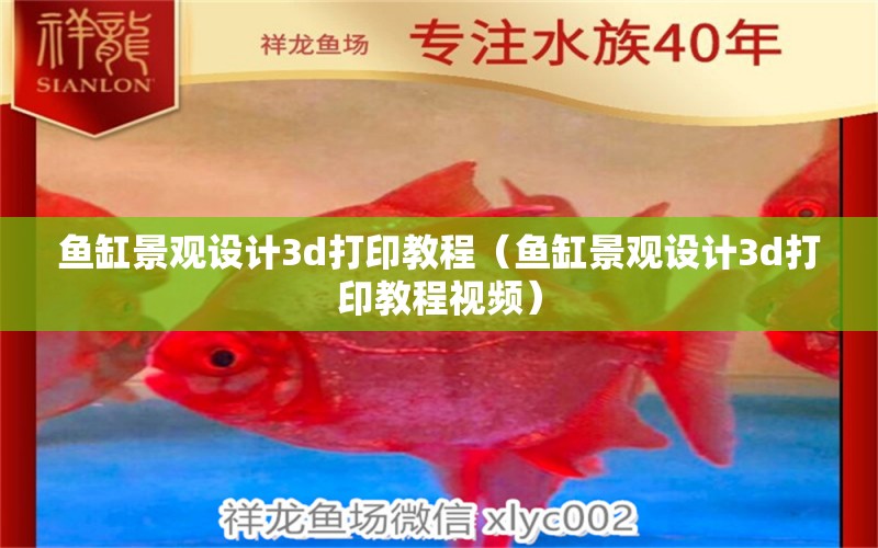 鱼缸景观设计3d打印教程（鱼缸景观设计3d打印教程视频） 广州景观设计