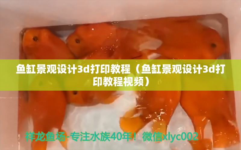 鱼缸景观设计3d打印教程（鱼缸景观设计3d打印教程视频） 广州景观设计