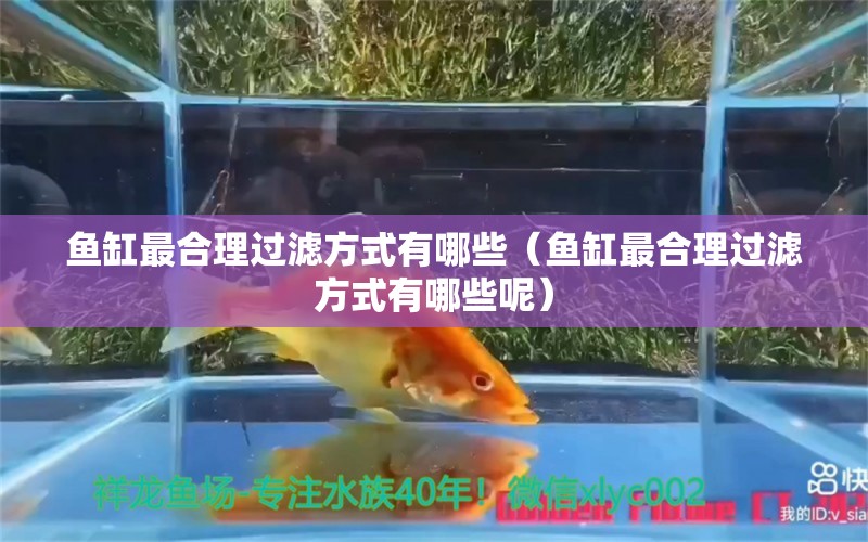 鱼缸最合理过滤方式有哪些（鱼缸最合理过滤方式有哪些呢） 观赏鱼市场（混养鱼）