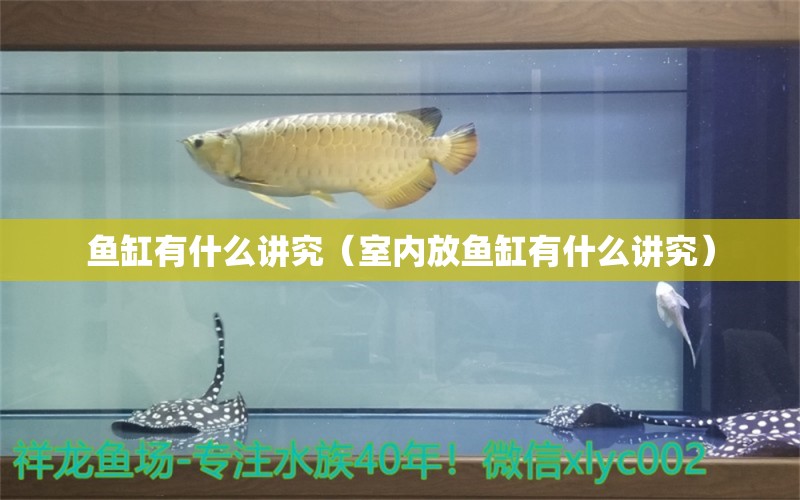 鱼缸有什么讲究（室内放鱼缸有什么讲究）