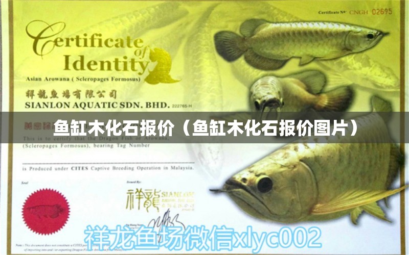 鱼缸木化石报价（鱼缸木化石报价图片） 其他品牌鱼缸