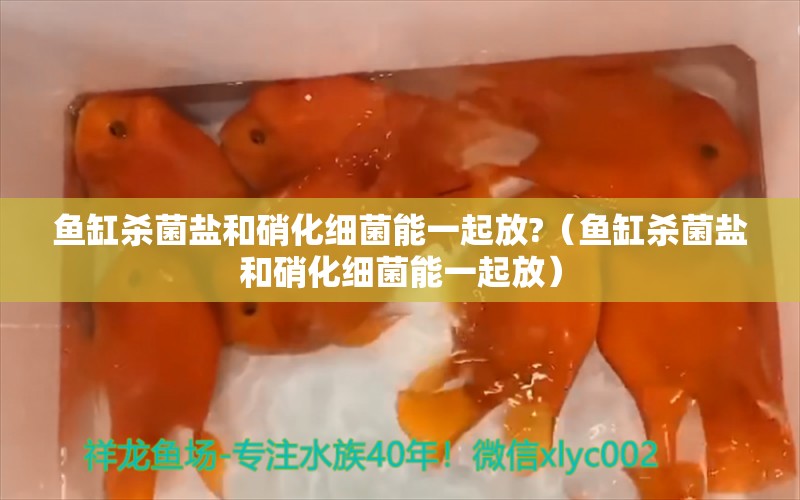 鱼缸杀菌盐和硝化细菌能一起放?（鱼缸杀菌盐和硝化细菌能一起放）