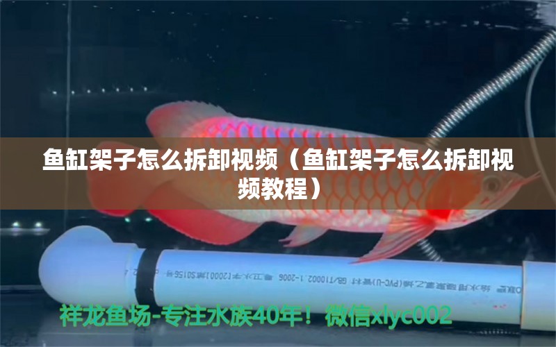 鱼缸架子怎么拆卸视频（鱼缸架子怎么拆卸视频教程） 祥龙水族医院