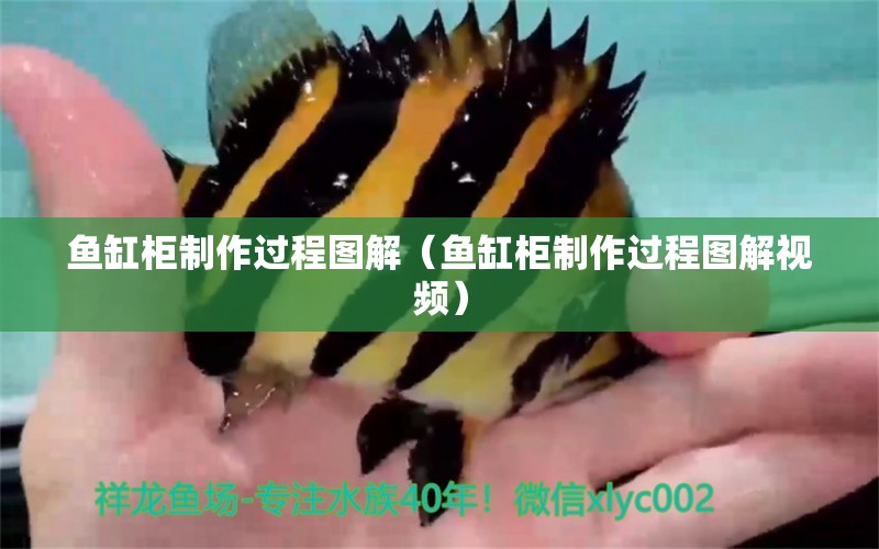 鱼缸柜制作过程图解（鱼缸柜制作过程图解视频） 祥龙水族医院