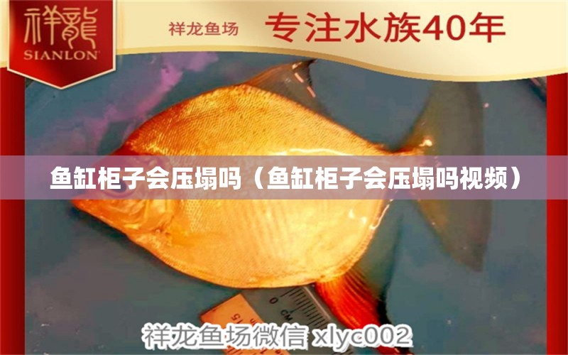 鱼缸柜子会压塌吗（鱼缸柜子会压塌吗视频） 祥龙水族医院