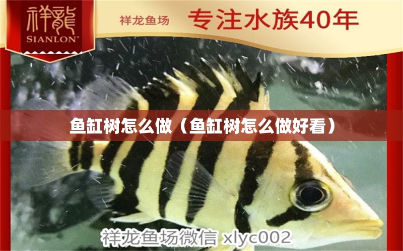 鱼缸树怎么做（鱼缸树怎么做好看） 祥龙水族医院