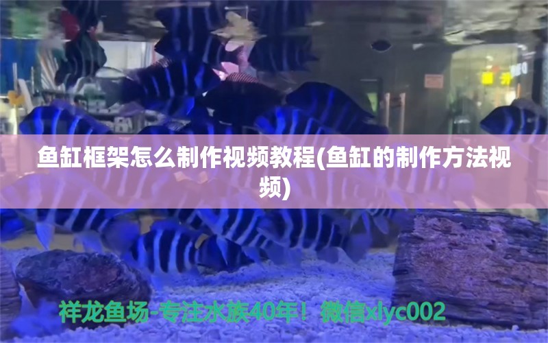 鱼缸框架怎么制作视频教程(鱼缸的制作方法视频) 黑桃A鱼