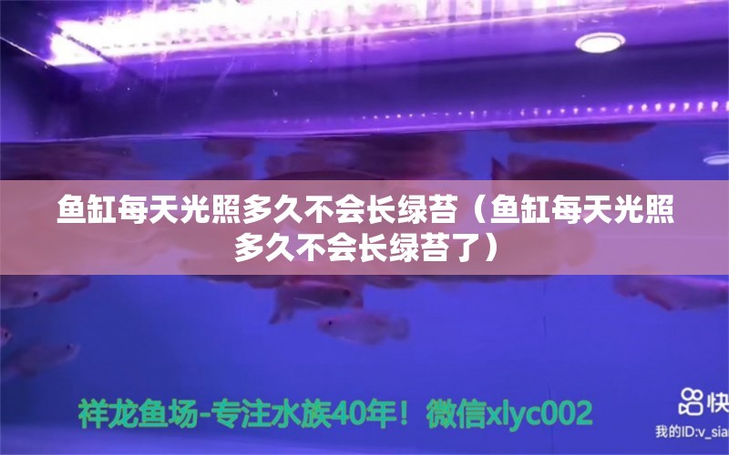 鱼缸每天光照多久不会长绿苔（鱼缸每天光照多久不会长绿苔了） 祥龙水族医院