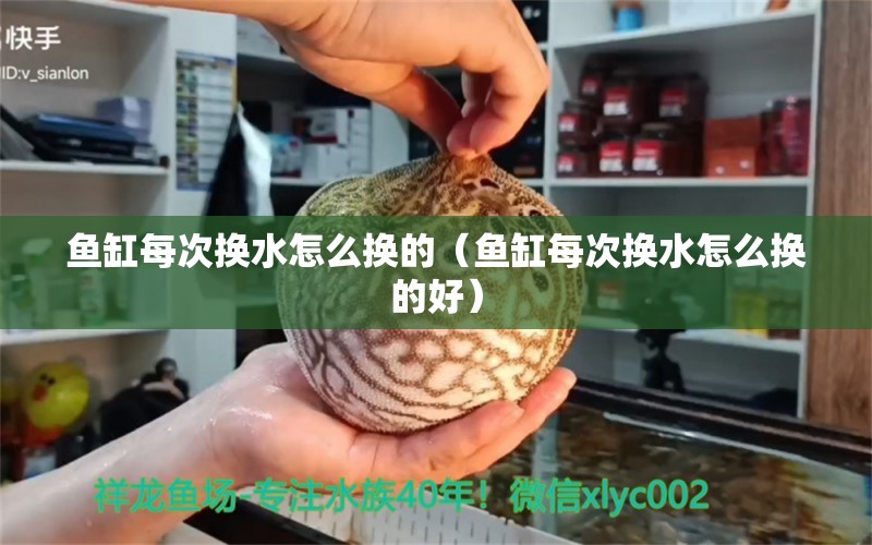 鱼缸每次换水怎么换的（鱼缸每次换水怎么换的好）