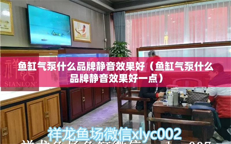 鱼缸气泵什么品牌静音效果好（鱼缸气泵什么品牌静音效果好一点） 造景/装饰