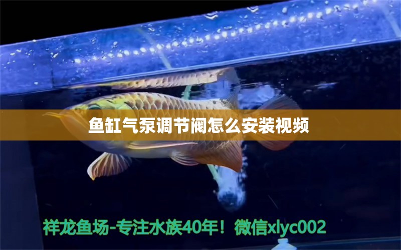 鱼缸气泵调节阀怎么安装视频  观赏鱼市场（混养鱼） 第1张