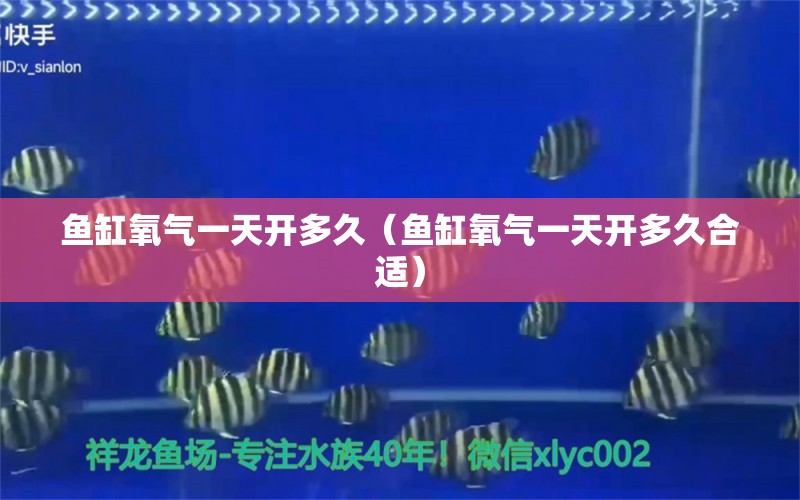 鱼缸氧气一天开多久（鱼缸氧气一天开多久合适）