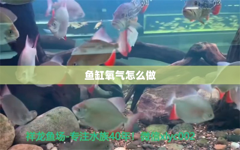 鱼缸氧气怎么做