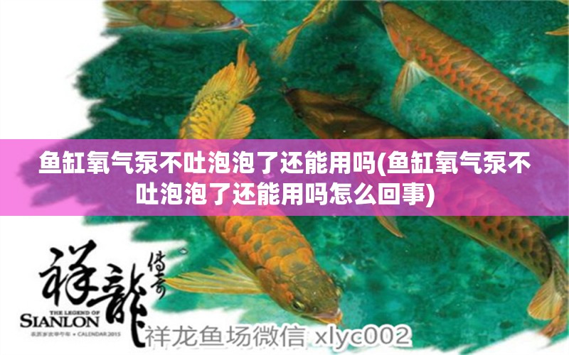 鱼缸氧气泵不吐泡泡了还能用吗(鱼缸氧气泵不吐泡泡了还能用吗怎么回事) 龙鱼芯片扫码器