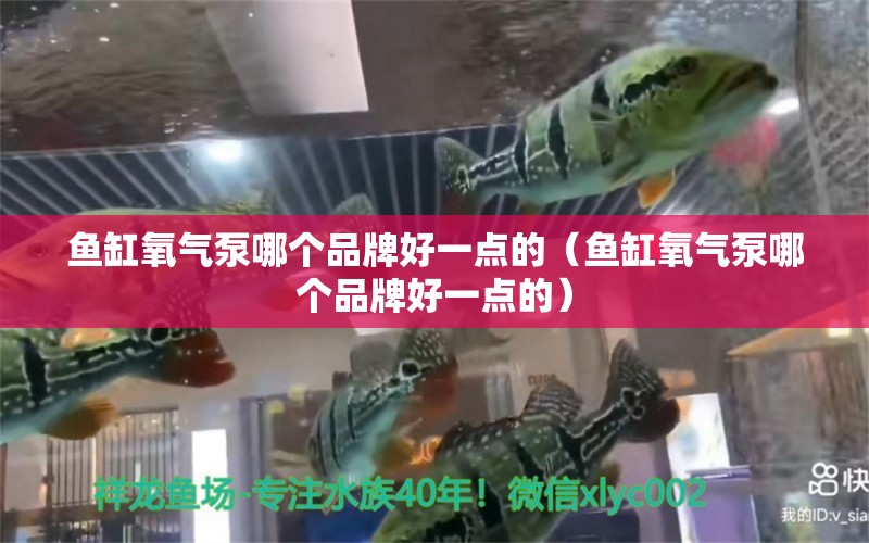 鱼缸氧气泵哪个品牌好一点的（鱼缸氧气泵哪个品牌好一点的） 充氧泵 第1张