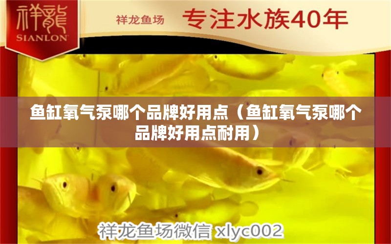 鱼缸氧气泵哪个品牌好用点（鱼缸氧气泵哪个品牌好用点耐用）