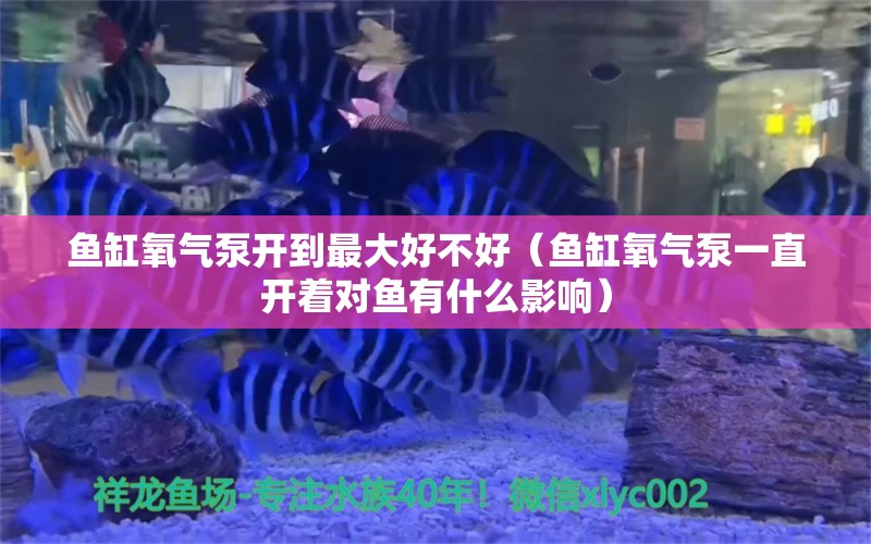 鱼缸氧气泵开到最大好不好（鱼缸氧气泵一直开着对鱼有什么影响）