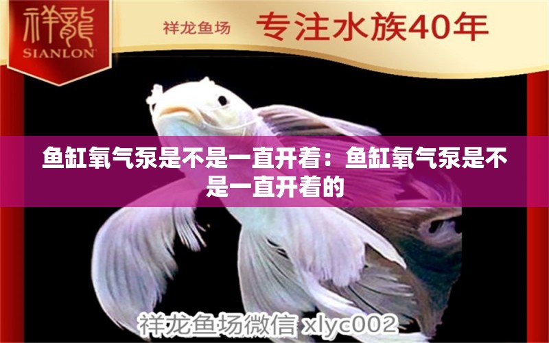 鱼缸氧气泵是不是一直开着：鱼缸氧气泵是不是一直开着的 观赏鱼