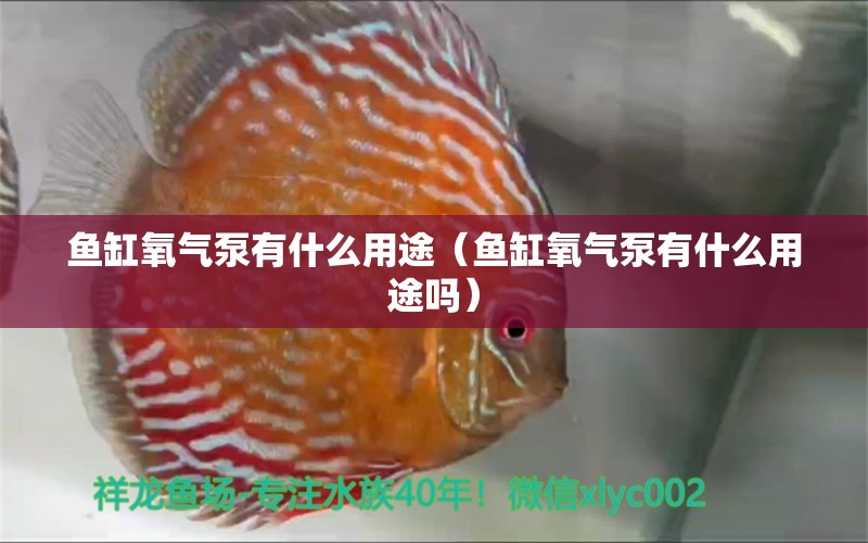 鱼缸氧气泵有什么用途（鱼缸氧气泵有什么用途吗）