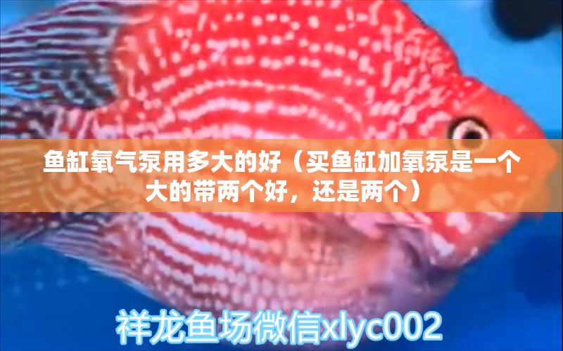 鱼缸氧气泵用多大的好（买鱼缸加氧泵是一个大的带两个好，还是两个）