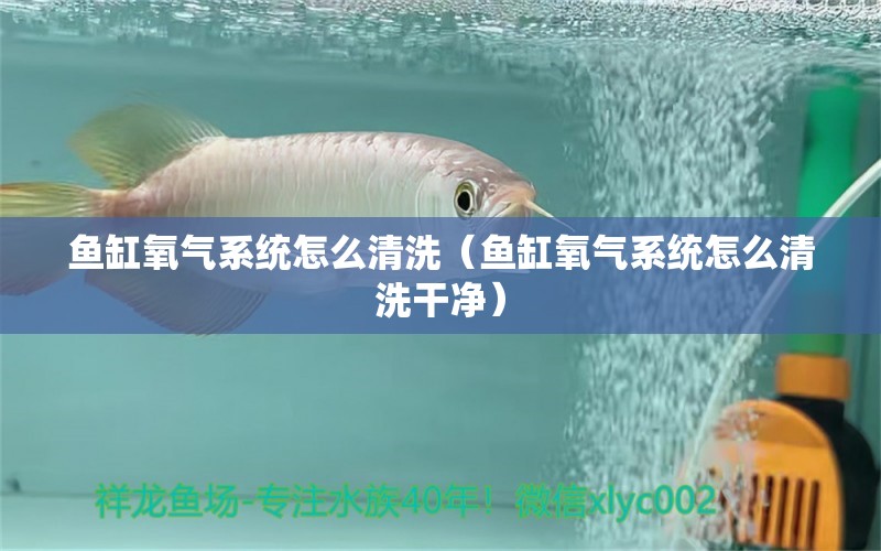 鱼缸氧气系统怎么清洗（鱼缸氧气系统怎么清洗干净）