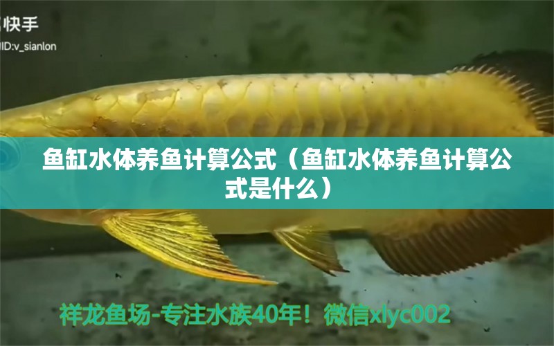 鱼缸水体养鱼计算公式（鱼缸水体养鱼计算公式是什么） 祥龙水族医院