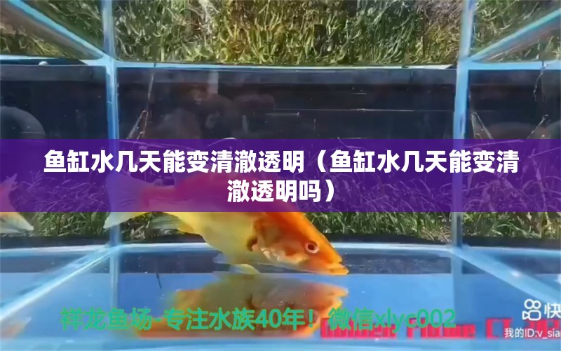 鱼缸水几天能变清澈透明（鱼缸水几天能变清澈透明吗）