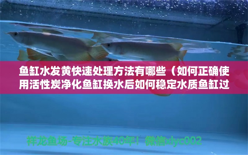 鱼缸水发黄快速处理方法有哪些（如何正确使用活性炭净化鱼缸换水后如何稳定水质鱼缸过滤系统） 龙鱼百科 第2张