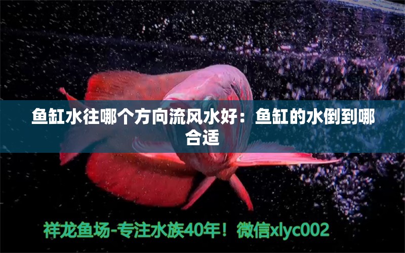 鱼缸水往哪个方向流风水好：鱼缸的水倒到哪合适