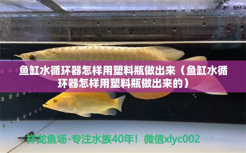 鱼缸水循环器怎样用塑料瓶做出来（鱼缸水循环器怎样用塑料瓶做出来的）