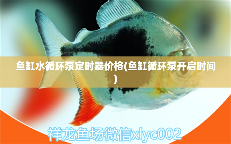 鱼缸水循环泵定时器价格(鱼缸循环泵开启时间) 定时器/自控系统 第1张