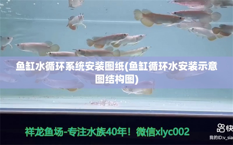 鱼缸水循环系统安装图纸(鱼缸循环水安装示意图结构图)