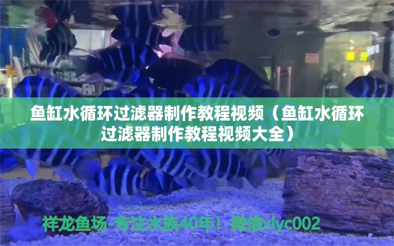 鱼缸水循环过滤器制作教程视频（鱼缸水循环过滤器制作教程视频大全） 其他品牌鱼缸
