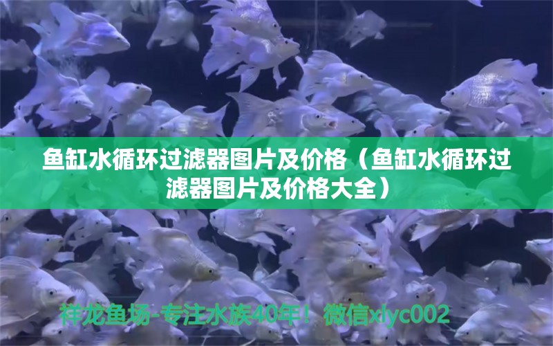 鱼缸水循环过滤器图片及价格（鱼缸水循环过滤器图片及价格大全） 其他品牌鱼缸