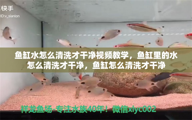 鱼缸水怎么清洗才干净视频教学，鱼缸里的水怎么清洗才干净，鱼缸怎么清洗才干净 鱼缸/水族箱 第1张