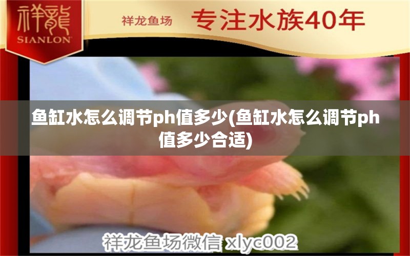 鱼缸水怎么调节ph值多少(鱼缸水怎么调节ph值多少合适)