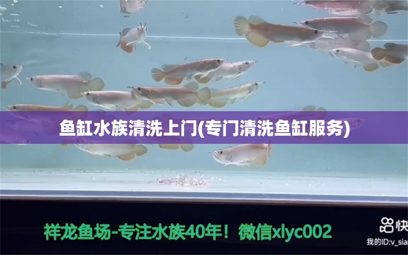 鱼缸水族清洗上门(专门清洗鱼缸服务)