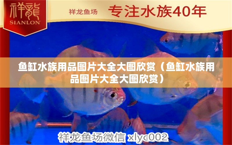 鱼缸水族用品图片大全大图欣赏（鱼缸水族用品图片大全大图欣赏）