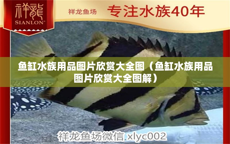 鱼缸水族用品图片欣赏大全图（鱼缸水族用品图片欣赏大全图解） 水族用品