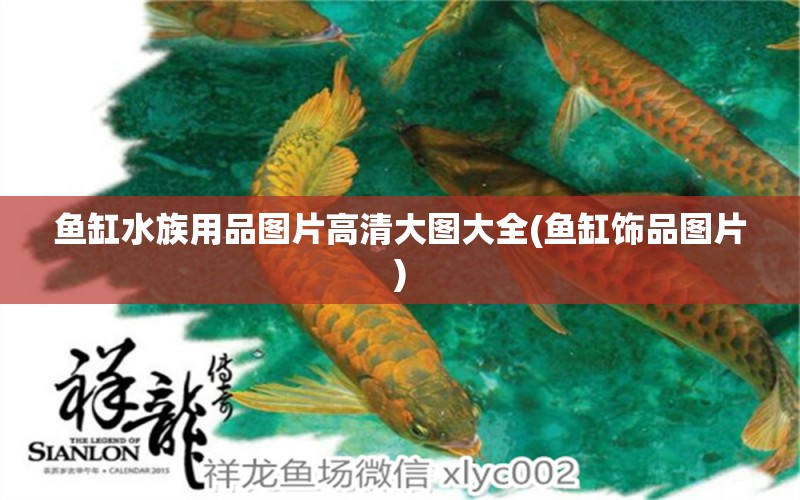 鱼缸水族用品图片高清大图大全(鱼缸饰品图片)