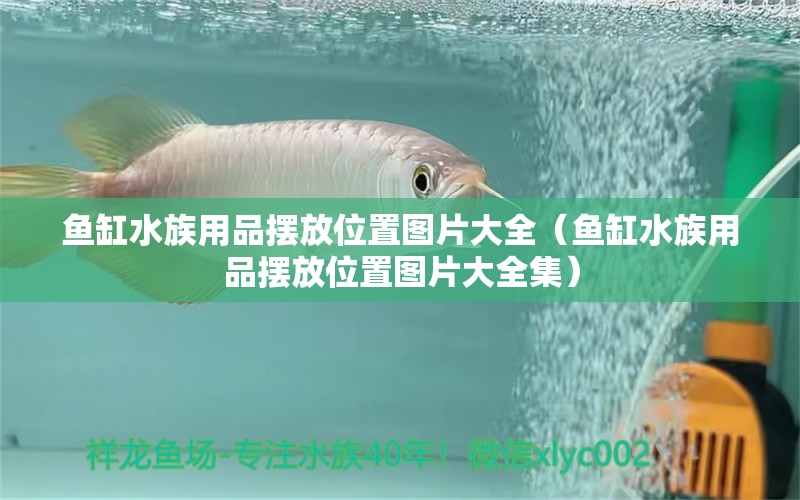 鱼缸水族用品摆放位置图片大全（鱼缸水族用品摆放位置图片大全集）