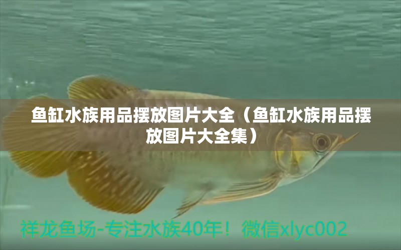 鱼缸水族用品摆放图片大全（鱼缸水族用品摆放图片大全集）