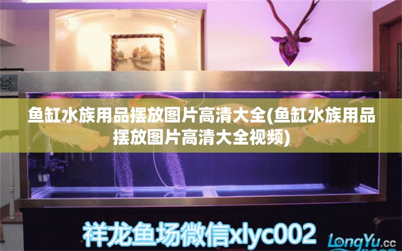 鱼缸水族用品摆放图片高清大全(鱼缸水族用品摆放图片高清大全视频) 水族用品 第1张