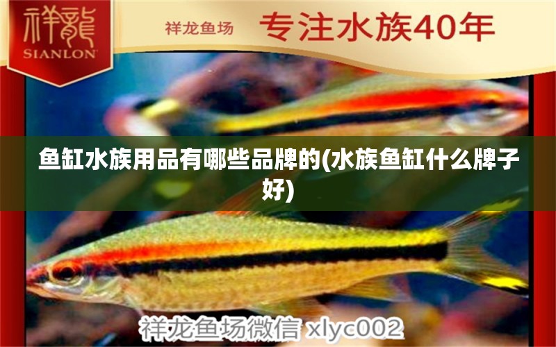 鱼缸水族用品有哪些品牌的(水族鱼缸什么牌子好) 水族用品 第1张