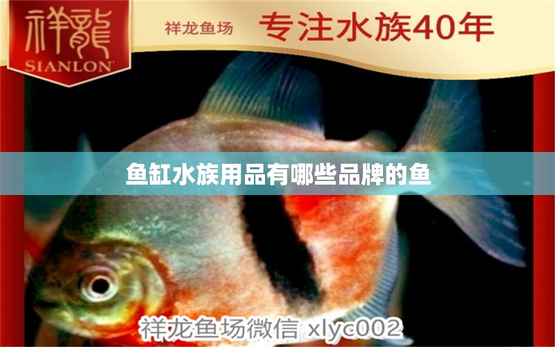 鱼缸水族用品有哪些品牌的鱼