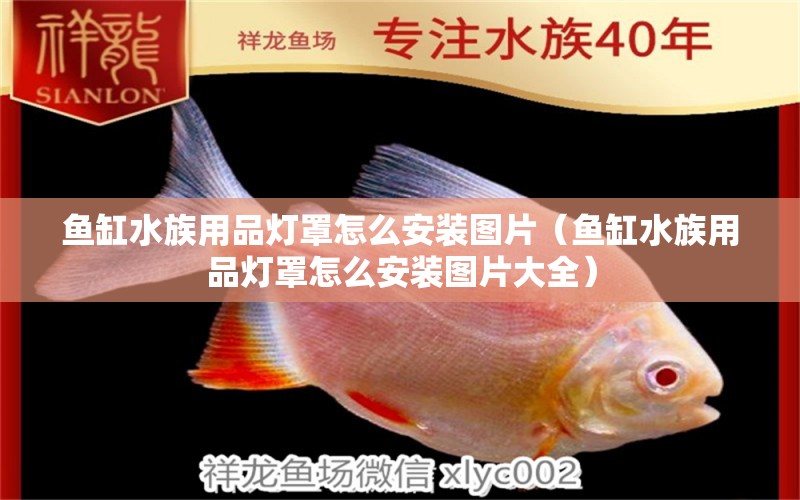 鱼缸水族用品灯罩怎么安装图片（鱼缸水族用品灯罩怎么安装图片大全）