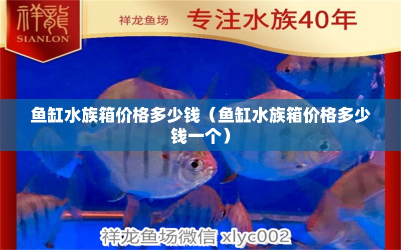 鱼缸水族箱价格多少钱（鱼缸水族箱价格多少钱一个）