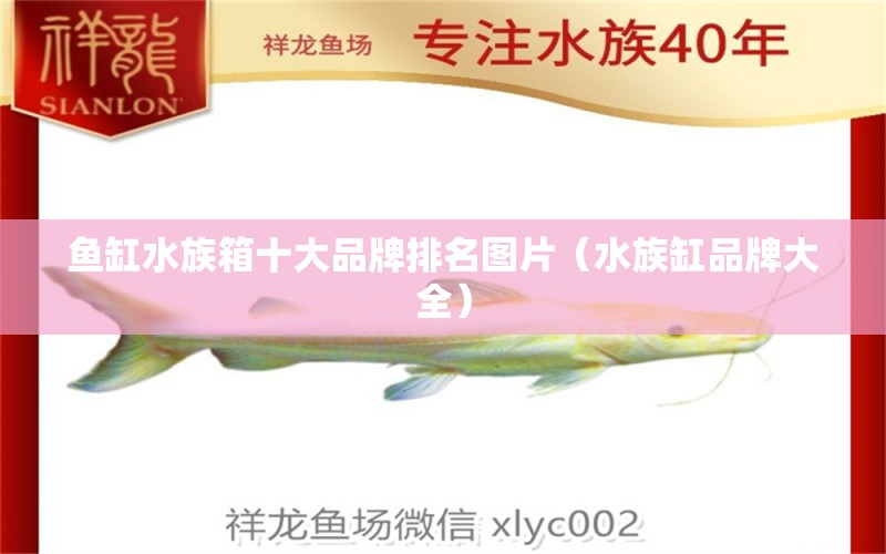 鱼缸水族箱十大品牌排名图片（水族缸品牌大全） 柠檬鲫 第1张