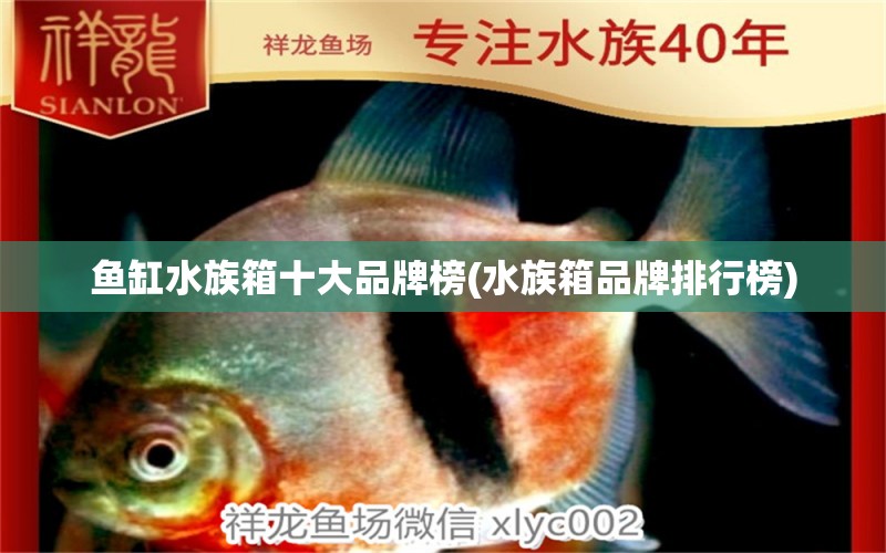 鱼缸水族箱十大品牌榜(水族箱品牌排行榜)